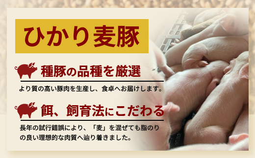 鹿å
å³¶çç£ ã²ããéºŠè± çŒè é£ã¹æ¯ã¹ ã»ãã 600gïŒ300gÃ2ããã¯ïŒïŒ 楜塩ã®ç²ã³ãå¡©ãããã HM-703 | è ãè ã«ã è±è ããŒã¹ è©ããŒã¹ ãã©è ã¹ã©ã€ã¹ ç²æœã å¡©ã³ã·ã§ãŠ å·å ç空å·å ç£å°çŽé æ°é®® å°åã ç㿠鹿å
å³¶ç å倧é
çº ã²ãã麊è±çŽå£²æ