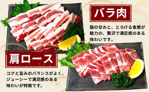 鹿å
å³¶çç£ ã²ããéºŠè± çŒè é£ã¹æ¯ã¹ ã»ãã 600gïŒ300gÃ2ããã¯ïŒïŒ 楜塩ã®ç²ã³ãå¡©ãããã HM-703 | è ãè ã«ã è±è ããŒã¹ è©ããŒã¹ ãã©è ã¹ã©ã€ã¹ ç²æœã å¡©ã³ã·ã§ãŠ å·å ç空å·å ç£å°çŽé æ°é®® å°åã ç㿠鹿å
å³¶ç å倧é
çº ã²ãã麊è±çŽå£²æ