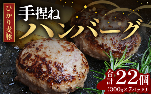 鹿児島県産 ひかり麦豚 手捏ねハンバーグ セット サイズ違い 大中小 ≪合計22個≫  HM-705 | 肉 お肉 にく 豚肉 絶品 ハンバーグ 添加物不使用 肉汁 ジューシー おかず お弁当 ロコモコ 冷凍 産地直送 小分け 鹿児島県 南大隅町 ひかり麦豚直売所
