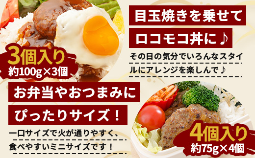 鹿児島県産 ひかり麦豚 手捏ねハンバーグ セット サイズ違い 大中小 ≪合計22個≫  HM-705 | 肉 お肉 にく 豚肉 絶品 ハンバーグ 添加物不使用 肉汁 ジューシー おかず お弁当 ロコモコ 冷凍 産地直送 小分け 鹿児島県 南大隅町 ひかり麦豚直売所