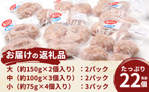 鹿児島県産 ひかり麦豚 手捏ねハンバーグ セット サイズ違い 大中小 ≪合計22個≫  HM-705 | 肉 お肉 にく 豚肉 絶品 ハンバーグ 添加物不使用 肉汁 ジューシー おかず お弁当 ロコモコ 冷凍 産地直送 小分け 鹿児島県 南大隅町 ひかり麦豚直売所