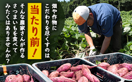  【先行予約】【2026年1月より順次発送】さつまいも 熟成 紅はるか 2.5kg ( 500g × 5袋 ) SSサイズ 鹿児島県産 FR-301｜鹿児島県産 さつまいも 感動 熟成 芋 紅はるか 新鮮 産地直送 先行予約 SS 南大隅町