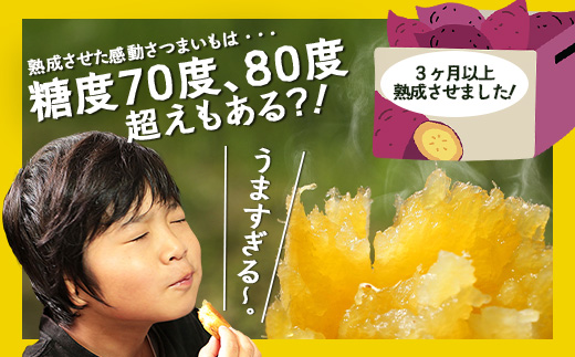  【先行予約】【2026年1月より順次発送】さつまいも 熟成 紅はるか 2.5kg ( 500g × 5袋 ) SSサイズ 鹿児島県産 FR-301｜鹿児島県産 さつまいも 感動 熟成 芋 紅はるか 新鮮 産地直送 先行予約 SS 南大隅町