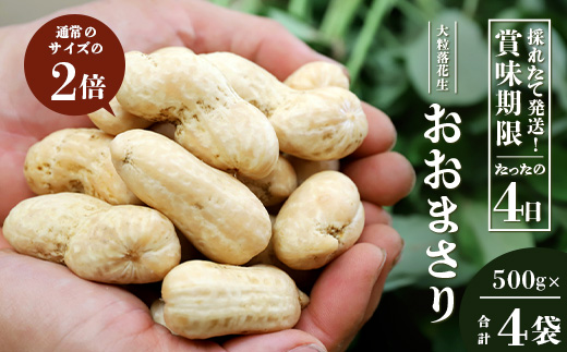 【先行予約】食べ応え抜群の大粒落花生「おおまさり」500g袋×４袋≪数量限定≫ FR-313｜鹿児島県産 野菜 やさい 食品 人気 おすすめ 送料無料 落花生 おおまさり 産地直送 新鮮 南大隅町