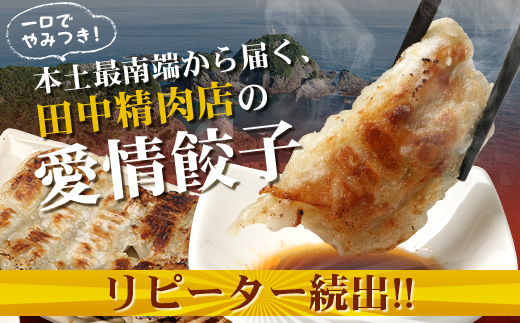 《リピーター続出！》佐多の田中肉屋 ニンニクたっぷりやみつき餃子 120個（12個入り×10パック） 餃子のタレ付き TA-402 | ぎょうざ 餃子 ギョウザ 豚肉 ひき肉 にんにく スタミナ餃子 焼くだけ 簡単 小分け 大容量 手作り お惣菜 おかず 冷凍 鹿児島県 南大隅町 田中精肉店