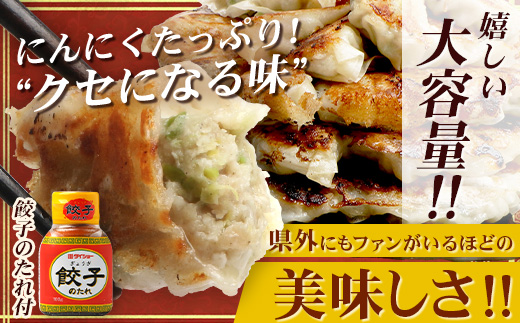 《リピーター続出！》佐多の田中肉屋 ニンニクたっぷりやみつき餃子 120個（12個入り×10パック） 餃子のタレ付き TA-402 | ぎょうざ 餃子 ギョウザ 豚肉 ひき肉 にんにく スタミナ餃子 焼くだけ 簡単 小分け 大容量 手作り お惣菜 おかず 冷凍 鹿児島県 南大隅町 田中精肉店