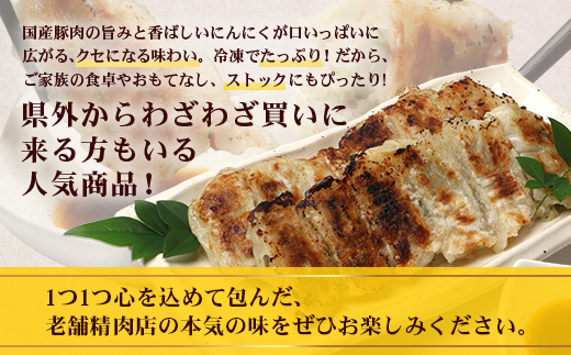 《リピーター続出！》佐多の田中肉屋 ニンニクたっぷりやみつき餃子 120個（12個入り×10パック） 餃子のタレ付き TA-402 | ぎょうざ 餃子 ギョウザ 豚肉 ひき肉 にんにく スタミナ餃子 焼くだけ 簡単 小分け 大容量 手作り お惣菜 おかず 冷凍 鹿児島県 南大隅町 田中精肉店