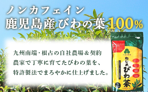 鹿児島県産 ねじめびわ茶 ティーバック 化粧箱入（24包入×3袋）ノンカフェイン TO-402-NP | 国産 お茶 健康茶 ポリフェノール 無香料 無着色 さわやか 甘み 香ばしい おいしい びわの葉 トルマリン石焙煎 産地直送 鹿児島県 南大隅町 十津川農場