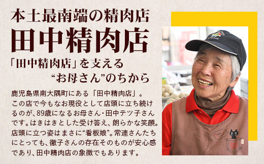 佐多の田中肉屋 味付唐揚げとコロッケ 2種 食べ比べ セット 冷凍便 TA-403 | 国産 鶏肉 骨なしお惣菜 手作り から揚げ 揚げたて 調理済み コロッケ 大容量 おかず 弁当 おつまみ 簡単調理 産地直送 鹿児島県 南大隅町 田中精肉店 