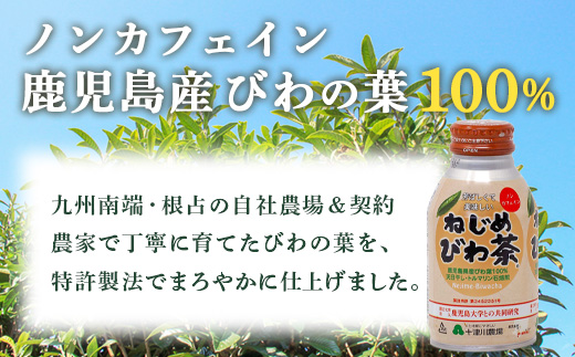 鹿児島県産 ねじめびわ茶 ボトル缶 1ケース（290ml×24本入り）ノンカフェイン TO-403 | 国産 お茶 健康茶 カロリーゼロ 無香料 無着色 ポリフェノール さわやか 甘み 香ばしい おいしい びわの葉 産地直送 鹿児島県 南大隅町 十津川農場 