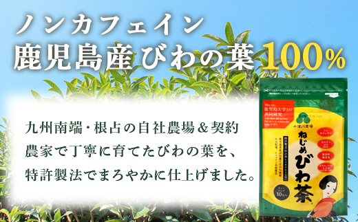 【鹿児島県産】ねじめびわ茶 飲み比べ セット + びわ茶塩飴付き(化粧箱入) TO-406|ねじめびわ茶 ノンカフェイン ティーバック ボトル缶 飴 国産 お茶 健康茶 ポリフェノール 無香料 無着色 さわやか 甘み 香ばしい おいしい びわの葉 トルマリン石焙煎 産地直送 鹿児島県 南大隅町 十津川農場