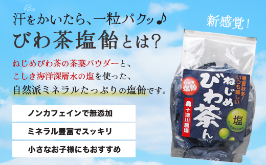【鹿児島県産】ねじめびわ茶 飲み比べ セット + びわ茶塩飴付き(化粧箱入) TO-406|ねじめびわ茶 ノンカフェイン ティーバック ボトル缶 飴 国産 お茶 健康茶 ポリフェノール 無香料 無着色 さわやか 甘み 香ばしい おいしい びわの葉 トルマリン石焙煎 産地直送 鹿児島県 南大隅町 十津川農場