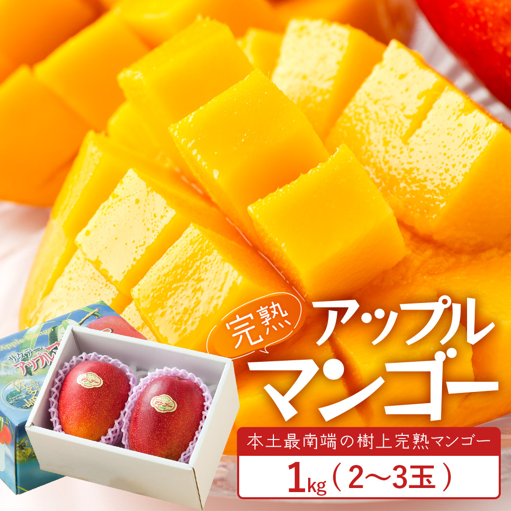太陽をたっぷり浴び濃厚な甘さ！南国の香りが漂う【本土最南端南大隅町産マンゴー】 【先行予約】☆本土最南端☆佐多の果樹園で育てた 完熟アップルマンゴー 1kg (2～3玉) 【2026年7月上旬以降順次発送】 ST-407 ｜鹿児島県 南大隅町 産地直送 旬 マンゴー フルーツ 果物 くだもの アップル マンゴー 詰め合わせ セット 数量限定 第一佐多果樹園