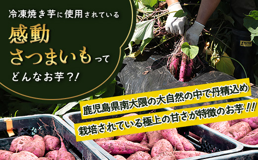 【冷凍焼芋】感動さつまいも 500g×3パック 熟成紅はるか FR-503 | サツマイモ 焼き芋 熟成芋 長期熟成 冷凍 スイーツ お菓子 甘い お中元 お歳暮 ギフト プレゼント 保存料不使用 鹿児島県 南大隅町 株式会社フォレスト