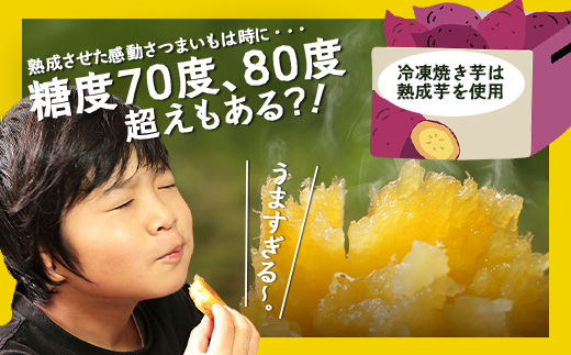 【冷凍焼芋】感動さつまいも 500g×3パック 熟成紅はるか FR-503 | サツマイモ 焼き芋 熟成芋 長期熟成 冷凍 スイーツ お菓子 甘い お中元 お歳暮 ギフト プレゼント 保存料不使用 鹿児島県 南大隅町 株式会社フォレスト