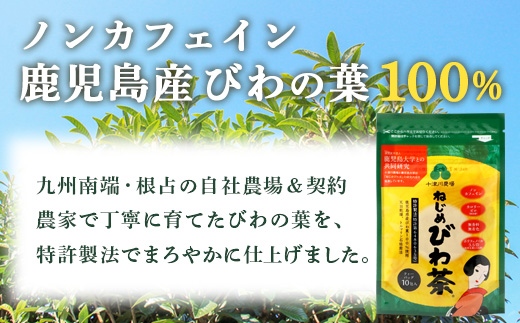 鹿児島県産 ねじめびわ茶 ティーバック 10包入×6袋 ノンカフェイン TO-504-NP | 国産 お茶 健康茶 ポリフェノール 無香料 無着色 さわやか 甘み 香ばしい おいしい びわの葉 トルマリン石焙煎 産地直送 鹿児島県 南大隅町 十津川農場