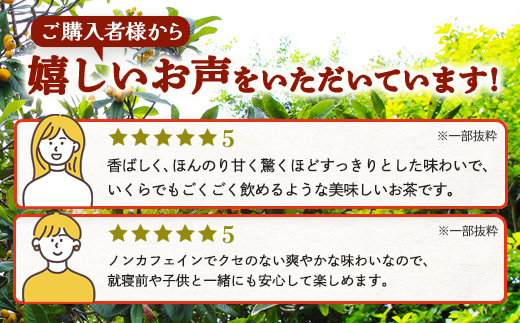 鹿児島県産 ねじめびわ茶 ティーバック 10包入×6袋 ノンカフェイン TO-504-NP | 国産 お茶 健康茶 ポリフェノール 無香料 無着色 さわやか 甘み 香ばしい おいしい びわの葉 トルマリン石焙煎 産地直送 鹿児島県 南大隅町 十津川農場