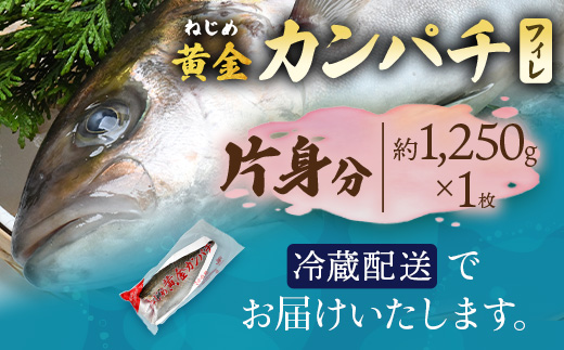 【配送日指定可能】 ≪年内配送は12月23日まで受付≫ 鹿児島 ねじめ黄金カンパチ フィレ 片身分（約1,250g×1枚） 冷蔵便 JF-508 | 魚 直送 養殖 根占 さかな 身が引き締まった かんぱち 漁師 刺身 寿司 しゃぶしゃぶ ぷりぷり食感 鹿児島県 南大隅町 ねじめ漁業協同組合