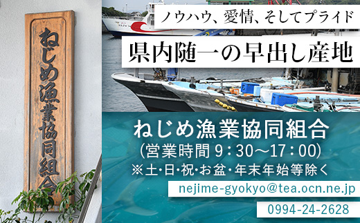 【配送日指定可能】 ≪年内配送は12月23日まで受付≫ 鹿児島 ねじめ黄金カンパチ フィレ 片身分（約1,250g×1枚） 冷蔵便 JF-508 | 魚 直送 養殖 根占 さかな 身が引き締まった かんぱち 漁師 刺身 寿司 しゃぶしゃぶ ぷりぷり食感 鹿児島県 南大隅町 ねじめ漁業協同組合