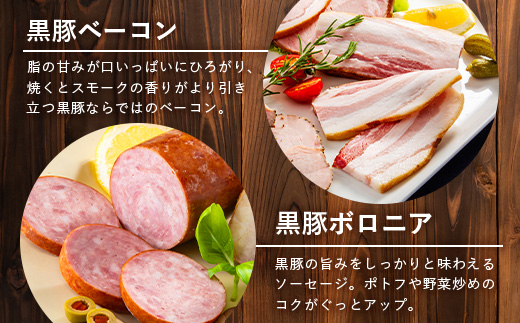 鹿児島県産 黒豚バラエティセットA 約600g (黒豚焼豚200g×1・黒豚ベーコン150g×1・黒豚ボロニア250g×1) NS-510 ｜ 肉 お肉 豚肉 豚 にく ぶた かごしま黒豚 ベーコン ソーセージ チャーハン ポトフ 野菜炒め 冷蔵 小分け 鹿児島県 南大隅町 南州農場