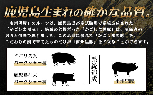 鹿児島県産 黒豚バラエティセットC 約750g (鹿児島黒豚焼豚200g・鹿児島黒豚モモハム200g・黒豚モモハムパストラミ200g・黒豚フランクフルト×150g) NS-511 | 肉 お肉 豚肉 豚 にく ぶた かごしま黒豚  ソーセージ チャーハン ポトフ スープ おつまみ 野菜炒め 冷蔵 鹿児島県 南大隅町 南州農場