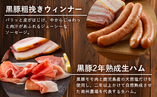 南州農場 黒豚ギフトA　5種約710g NS-512｜肉 お肉 豚肉 豚 にく ぶた かごしま黒豚 ベーコン ソーセージ ハム 焼豚 冷蔵 小分け 鹿児島県 南大隅町 南州農場