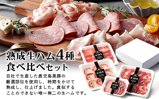 【定期便全3回】かごしま黒豚熟成生ハム４種食べ比べ セット（約540g）NS-519 | 国産 肉 お肉 豚肉 豚 にく ぶた 生ハム 最高峰 熟成ハム コッパ パンチェッタ コッホサラミ スパイス サラミ 冷蔵 詰め合わせ 産地直送 ギフト プレゼント 贈り物 鹿児島県 南大隅町 南州農場