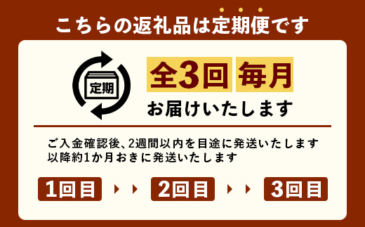 【定期便全3回】かごしま黒豚熟成生ハム４種食べ比べ セット（約540g）NS-519 | 国産 肉 お肉 豚肉 豚 にく ぶた 生ハム 最高峰 熟成ハム コッパ パンチェッタ コッホサラミ スパイス サラミ 冷蔵 詰め合わせ 産地直送 ギフト プレゼント 贈り物 鹿児島県 南大隅町 南州農場