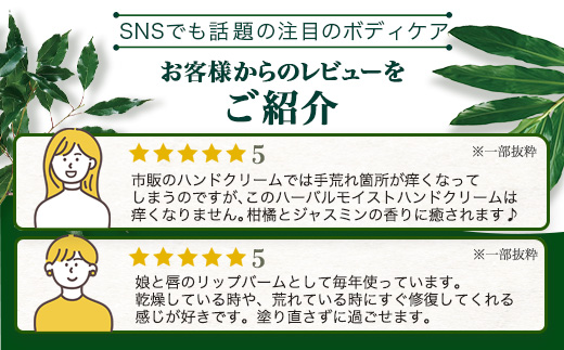 【100％自然由来】ボディケア3点セット（ハンドクリーム ＆バーム＆リップスティック） BF-519 │美容 ハンドクリーム インフューズドバーム リップスティック ボディケア スキンケア ハンドケア ハンドクリーム ヘアケア リップケア リップクリーム 保湿 潤い ハリ 弾力 抗菌 抗ウイルス ボタニカノン BOTANICANON ケミカルフリー 鹿児島県 南大隅町 ボタニカルファクトリー