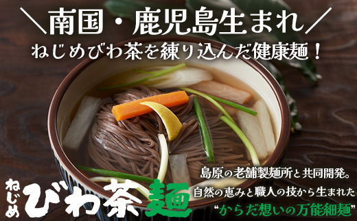 ねじめびわ茶１０包入とねじめびわ茶麺４束  セット  TO-519-NP｜ねじめびわ 茶 お茶 びわ 麺 めん 乾麺 和風 洋風 中華風 びわ茶 ラー麦 コシ のどごし 温麺 冷麺 鹿児島県 南大隅町 十津川農場