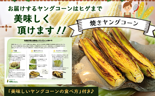 数量限定 ヒゲまで美味しい 皮つき ヤングコーン 30本 ★2026年4月下旬以降発送★FR-520