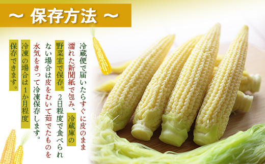 数量限定 ヒゲまで美味しい 皮つき ヤングコーン 30本 ★2026年4月下旬以降発送★FR-520