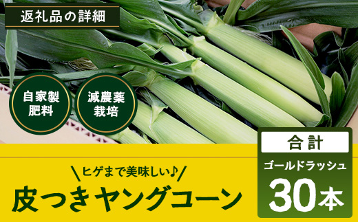 数量限定 ヒゲまで美味しい 皮つき ヤングコーン 30本 ★2026年4月下旬以降発送★FR-520