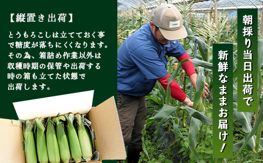 ãæ°ééå®ã ãå
è¡äºçŽã»2026幎5æïœãæåãšããããã ( çŽ4kg / 10ïœ13æ¬ ) FR-521 ïœéè ããã ãšããããã ãŽãŒã«ãã©ãã·ã¥ ããŠã¢ãã³ã· æ°é®® ç£å°çŽé å
è¡äºçŽ æ°ééå® 4kg