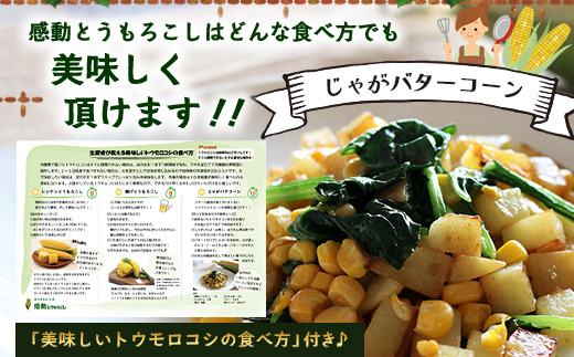 ãæ°ééå®ã ãå
è¡äºçŽã»2026幎5æïœãæåãšããããã ( çŽ4kg / 10ïœ13æ¬ ) FR-521 ïœéè ããã ãšããããã ãŽãŒã«ãã©ãã·ã¥ ããŠã¢ãã³ã· æ°é®® ç£å°çŽé å
è¡äºçŽ æ°ééå® 4kg