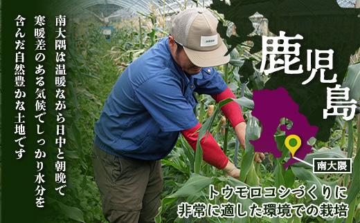 ãæ°ééå®ã ãå
è¡äºçŽã»2026幎5æïœãæåãšããããã ( çŽ4kg / 10ïœ13æ¬ ) FR-521 ïœéè ããã ãšããããã ãŽãŒã«ãã©ãã·ã¥ ããŠã¢ãã³ã· æ°é®® ç£å°çŽé å
è¡äºçŽ æ°ééå® 4kg