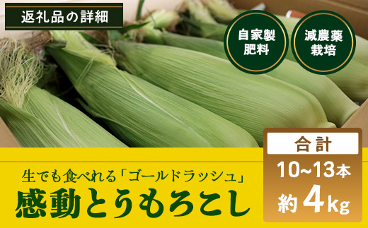 ãæ°ééå®ã ãå
è¡äºçŽã»2026幎5æïœãæåãšããããã ( çŽ4kg / 10ïœ13æ¬ ) FR-521 ïœéè ããã ãšããããã ãŽãŒã«ãã©ãã·ã¥ ããŠã¢ãã³ã· æ°é®® ç£å°çŽé å
è¡äºçŽ æ°ééå® 4kg