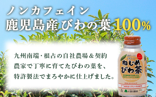 【 定期便 全6回 】 ねじめびわ茶 ボトル缶 12ケース ≪ 1回あたり48本 (24本入り×2箱) ≫ 2か月おきにお届け　TO-525