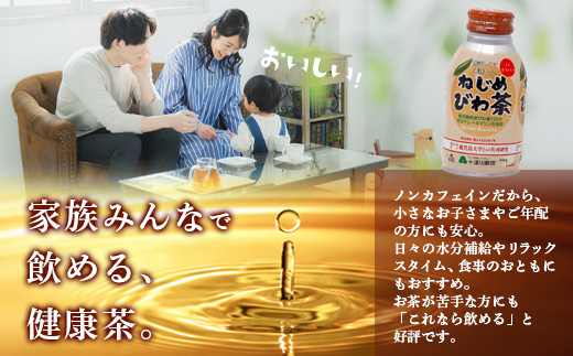 【 定期便 全6回 】 ねじめびわ茶 ボトル缶 12ケース ≪ 1回あたり48本 (24本入り×2箱) ≫ 2か月おきにお届け　TO-525