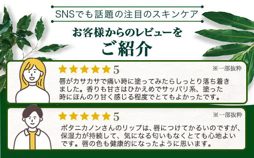 【100％自然由来】リップスティック2種セット BF-533 │美容 化粧品 自然派 スキンケア リップケア リップクリーム シトラス ハニー ジャスミン ベルガモット ユーカリ タンカン ホーリーバジル ホホバオイル ボタニカルオイル ハチミツ 乾燥肌 敏感肌 保湿 潤い うるおい ハリ 弾力 ボタニカノン BOTANICANON ケミカルフリー 鹿児島県 南大隅町 ボタニカルファクトリー