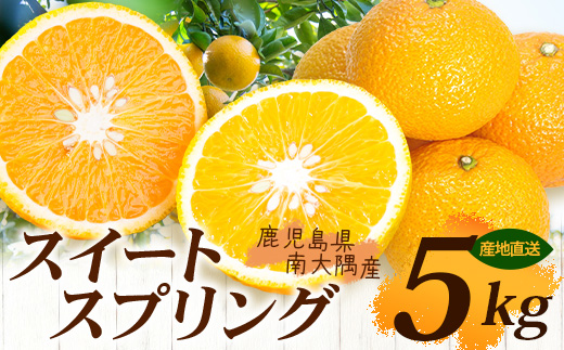 【数量限定】鹿児島県南大隅産スイートスプリング 約5kg 【2025年12月下旬より順次発送】AL7510｜柑橘 くだもの 果物 フルーツ スイートスプリング 食品 人気 おすすめ 南大隅 新鮮 産地直送 爽やか 数量限定