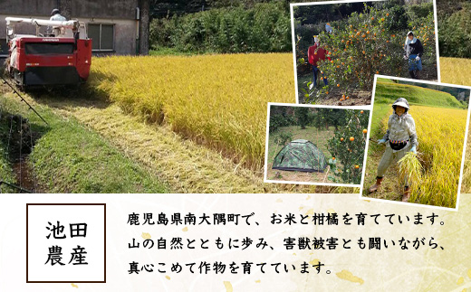 お米 ≪令和7年産≫ ひのひかり 米 5kg 南大隅町 辺塚産 AL7602 ｜鹿児島県 南大隅 白米 こめ コメ 5キロ ご飯 大自然のお米 国産 産地直送 