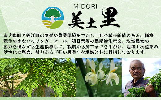 【佐多岬 モリンガパウダー】1袋 ( 50g×2袋 ) MD-706 ｜モリンガ 佐多岬 スーパーフード 栄養バランス オーガニック 健康 南大隅町 美容 アンチエイジング デトックス