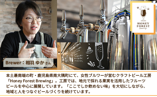 SunSunALE　【定番2種＋辺塚だいだい飲み比べ6本セット】 HF-704 | 柑橘 たんかん 季節のみかん 辺塚だいだい 手作り はちみつ 南大隅町 人気 ビール　