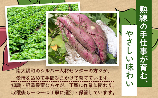 【定期便全5回】冷凍やきいも！紅はるか定期便 ( 1kg×2袋 ×5回)合計10kg CB7008 ｜食品 人気 おすすめ  冷凍焼き芋 芋 いも やきいも 冷凍 紅はるか 野菜 やさい 定期便 2kg