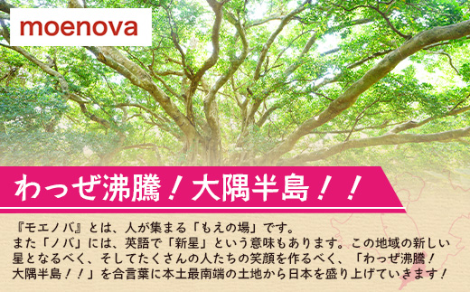 本土最南端からの贈り物　さつまもちのもち米（2kg）