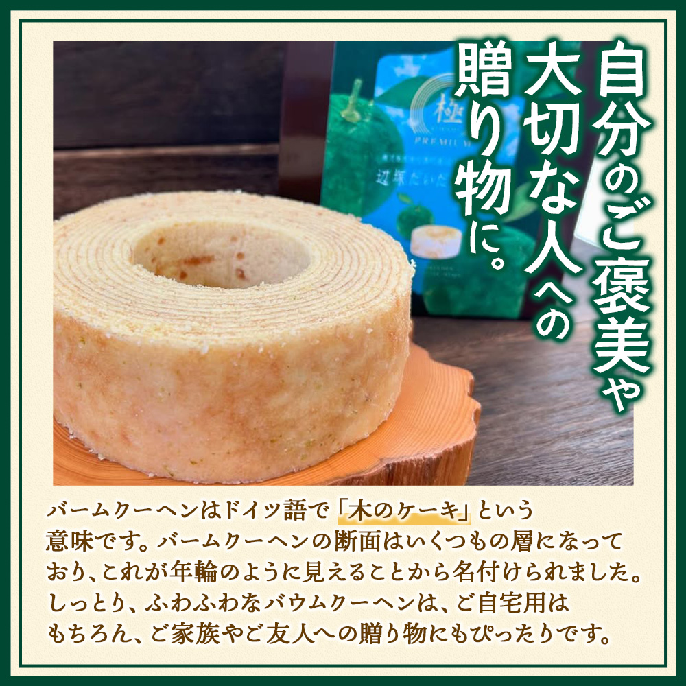 ããŠã ã¯ãŒãã³ âªæ¥µâ« 蟺å¡ã ãã ã çŽåŸçŽ15cm SH-713 âããŠã ã¯ãŒãã³ ããŒã ã¯ãŒãã³ ã¹ã€ãŒã ã±ãŒã èŸºå¡ ãžã€ãã ãã ã ææ© çŒãèå æŽèå ãèå ããã ãã〠ãã¶ãŒã ãã¬ãŒã³ã èŽãç© ã®ãã åžžæž© 鹿å
å³¶ç å倧é
çº 31âLINEè±å