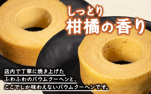 バウムクーヘン 2個セット ( プレーン ・ 辺塚だいだい) SH-715 ｜バウムクーヘン バームクーヘン スイーツ ケーキ 焼き菓子 洋菓子 お菓子 おかし おやつ デザート プレゼント 贈り物 ギフト 常温 鹿児島県 南大隅町 31℃LINE花子