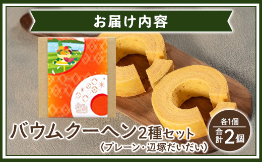 バウムクーヘン 2個セット ( プレーン ・ 辺塚だいだい) SH-715 ｜バウムクーヘン バームクーヘン スイーツ ケーキ 焼き菓子 洋菓子 お菓子 おかし おやつ デザート プレゼント 贈り物 ギフト 常温 鹿児島県 南大隅町 31℃LINE花子