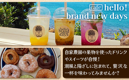 【本土最南端オーシャンビュー】 hello! brand new days ゲストハウス＆カフェ 利用チケット28,000円分 HB-702 │ 鹿児島県 南大隅町 オーシャンビュー 宿泊 旅行 ゲストハウス 古民家 リノベーション 貸切宿 1日1組限定 カフェ 海辺 自家農園 チケット  hello! brand new days 